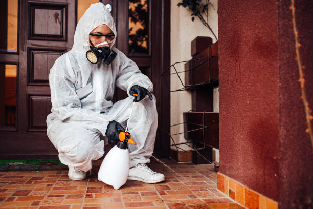 Reliable Bed Bug Control contractor in Bridgeport, OH by Nex Pest Control