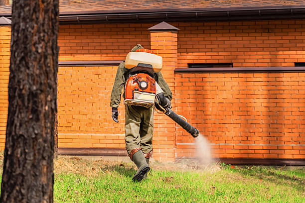 Trusted Emergency Pest Control service in Bridgeport, OH - Nex Pest Control